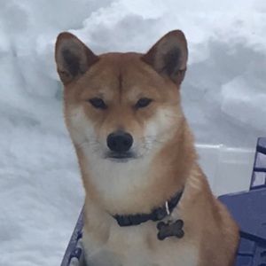 Meet your Posher, Kaleo